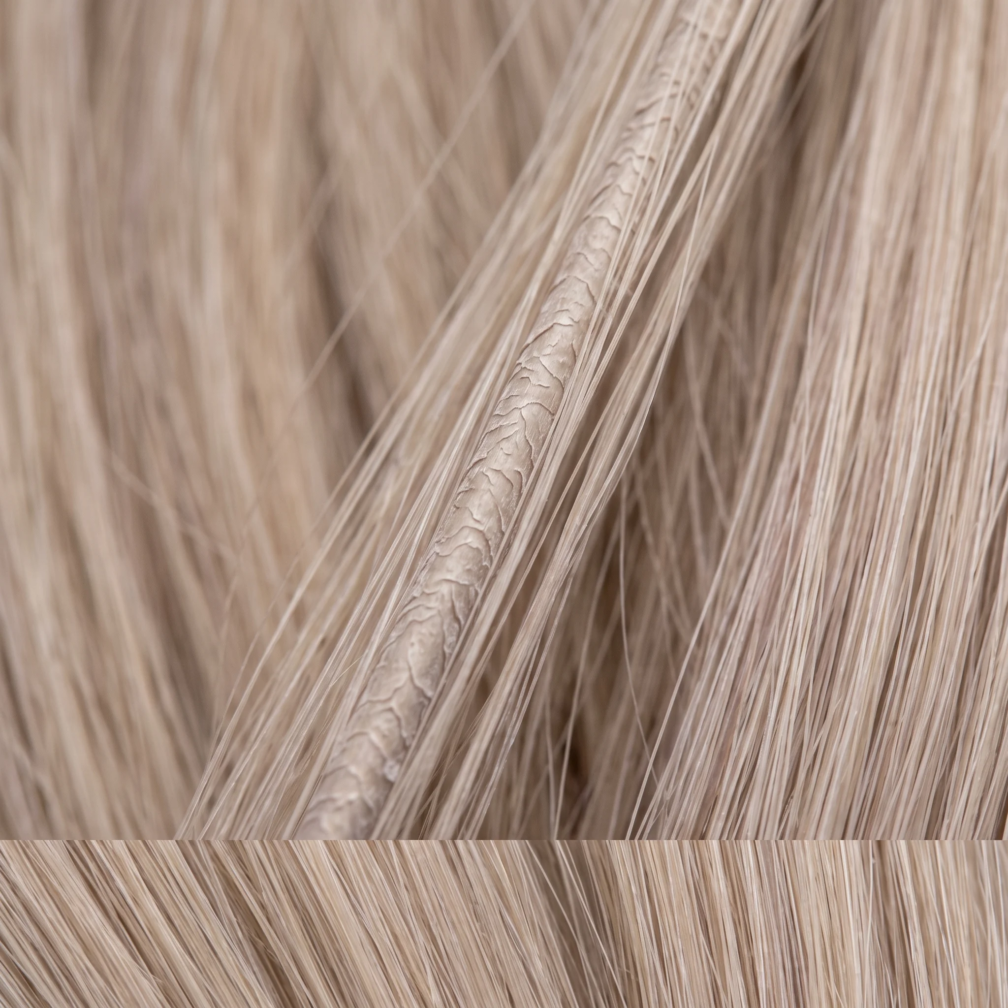 Finished cool level 9 blonde hair, even from root to end with the brass gone, in raking daylight
