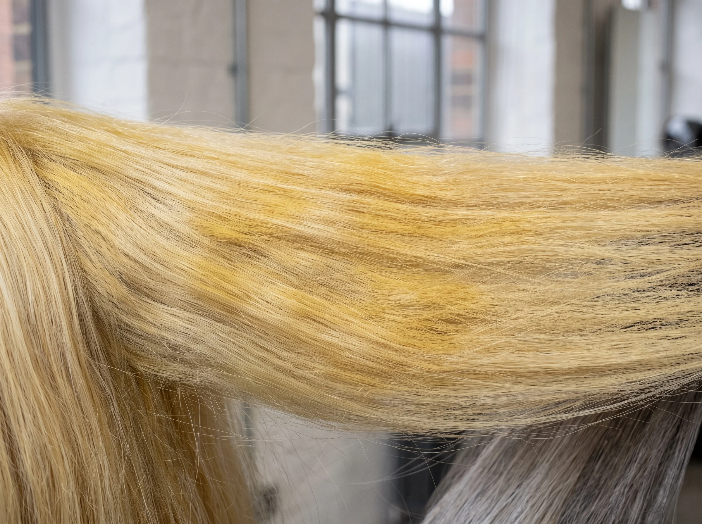 The same hair before toning: patchy yellow pre-lightened lengths with uneven undertone
