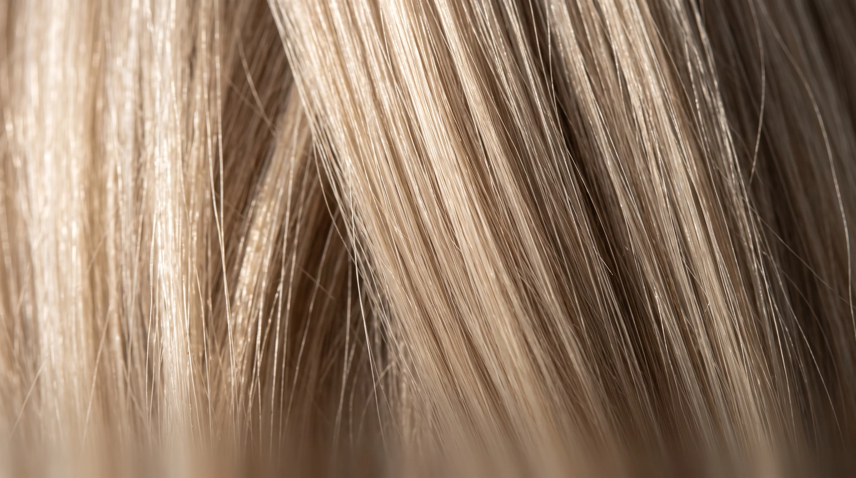 Finished cool blonde hair photographed macro-close in raking daylight, even in tone with the fibre intact